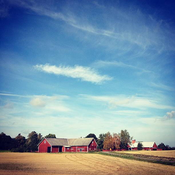 istock Swedish landscape in late summer 171383073