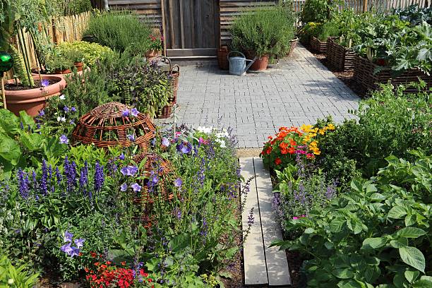 wspaniałe herb i kwiat ogród - bush formal garden boxwood flower bed zdjęcia i obrazy z banku zdjęć