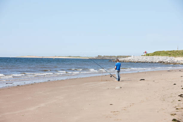 lone pêcheur sur la plage de sable blanc - wales beach editorial people photos et images de collection