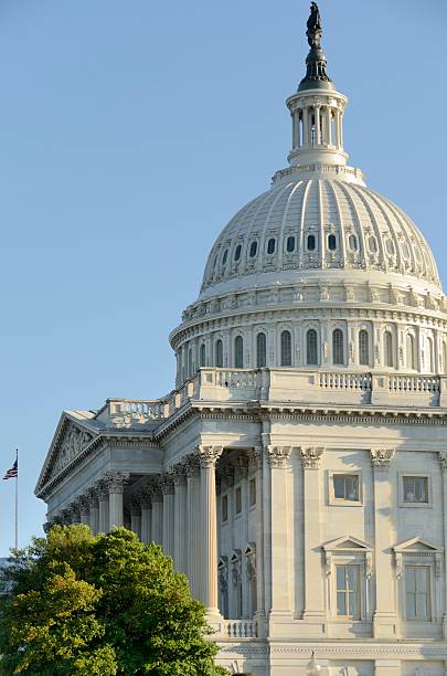 istock The Capitol Building Dome in Washington DC 171383638