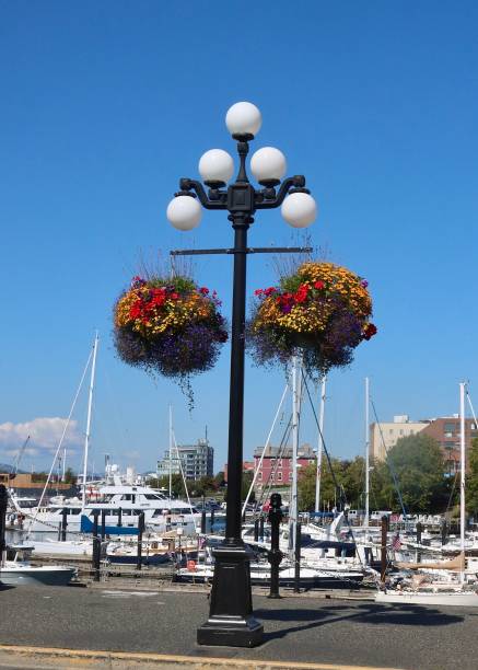 istock Hanging Baskets By The Inner Harbor Of Victoria,  Canada 1713839081
