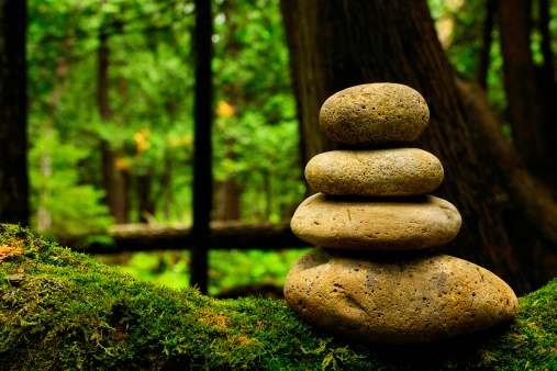 Close-up of pebble stones balancing in a forest.