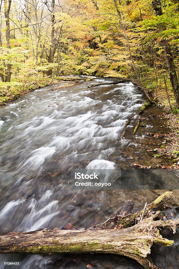 Río de montaña en otoño - Foto de stock de Agua libre de derechos