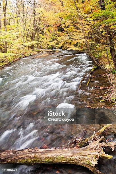 Río De Montaña En Otoño Foto de stock y más banco de imágenes de Agua - Agua, Agua del grifo, Aire libre