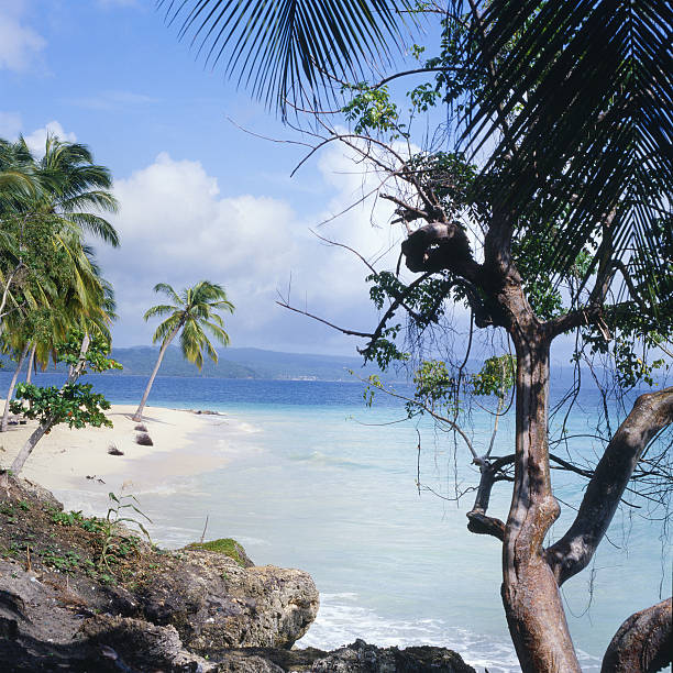 istock Tropical beach with palm trees, fine white sand, transparent water 171384900