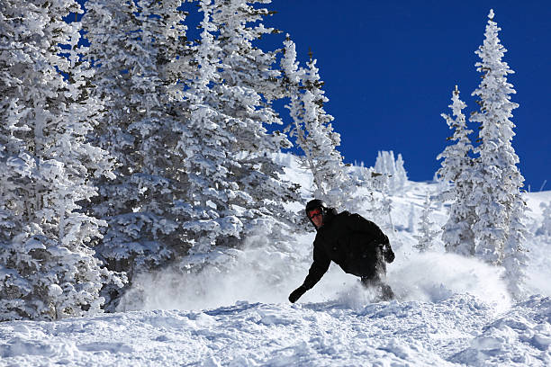 Snowboarder in action.