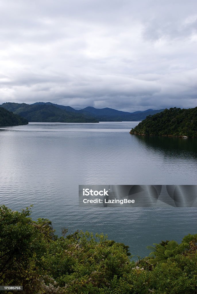 Ngakuta Bay, Marlborough Sounds, Nuova Zelanda - Foto stock royalty-free di Acqua