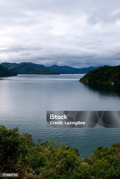 Foto de Sons Ngakuta Bay Marlborough Nova Zelândia e mais fotos de stock de Azul Real - Azul Real, Baía, Canais de Marlborough