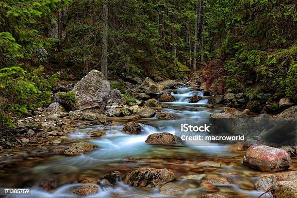 Wasserfall Im Wald Stockfoto und mehr Bilder von Nationalpark Great Smoky Mountains - Nationalpark Great Smoky Mountains, Bach, Tennessee