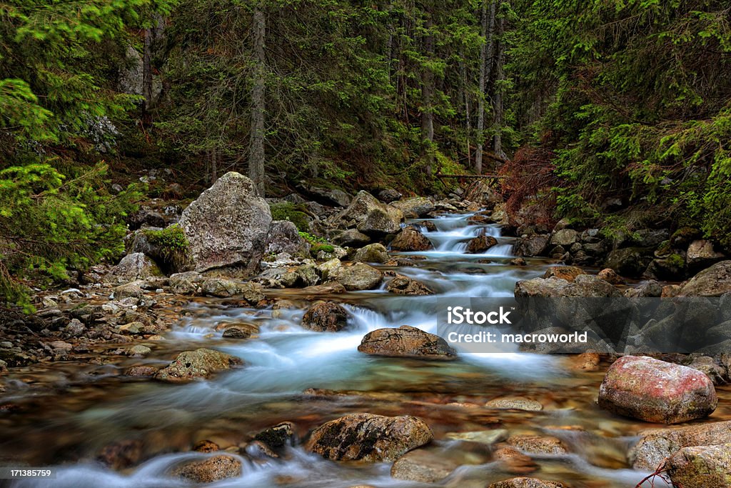 Cascada en el bosque - Foto de stock de Parque nacional Great Smoky Mountains libre de derechos