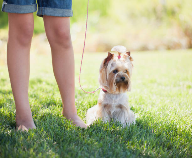 istock Girl and her Dog 171386280