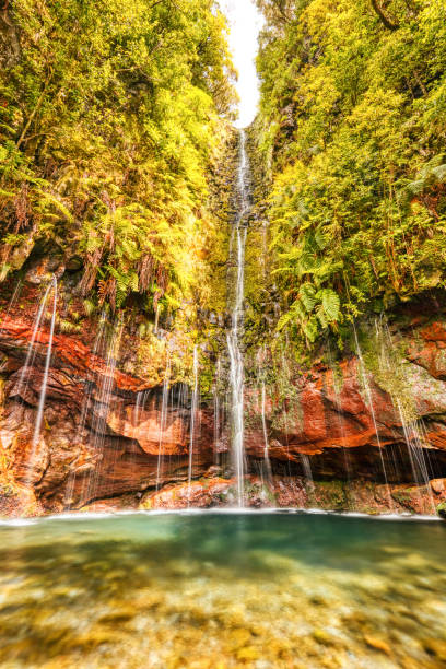 istock 25 Fontes Falls on the Levada Trail, Madeira Island 1713867460