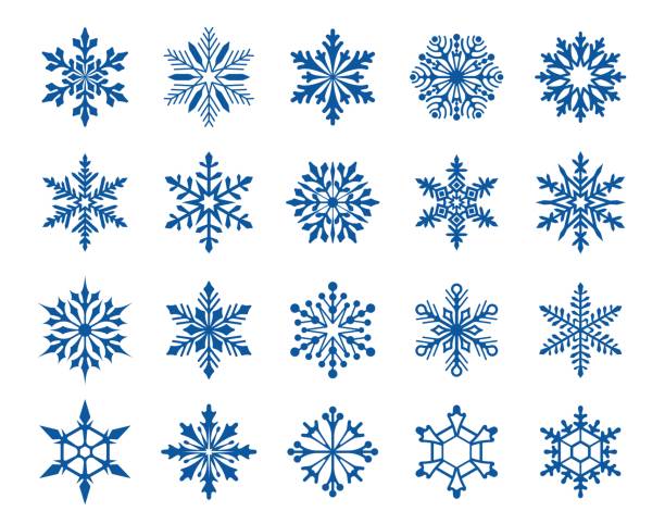bildbanksillustrationer, clip art samt tecknat material och ikoner med snowflakes. set of varied snowflakes. isolated silhouette on white background - snöflingor