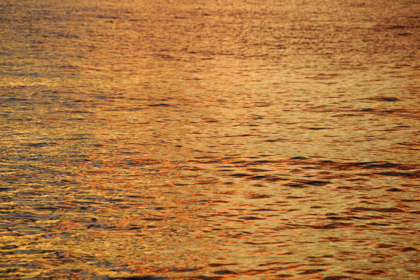 istock Sunset over the Water 1713908401