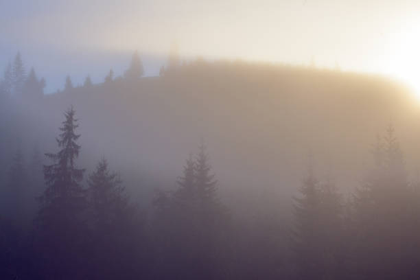 istock Misty morning  in Carpathian mountains, Ukrinae 1713915416