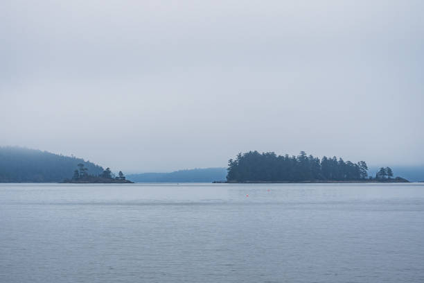 istock Sydney BC Coastal Seascape 1714021121