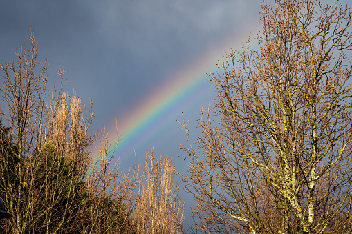 City landscape after a thunderstorm. Double rainbow over the city after a thunderstorm against a dark sky.