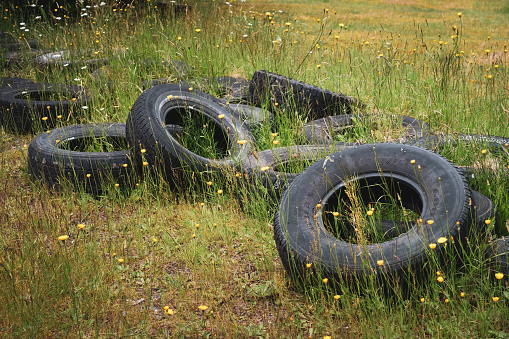 Old tires in overgrown grass in yard.