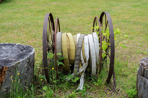 Old tires in overgrown grass in yard.