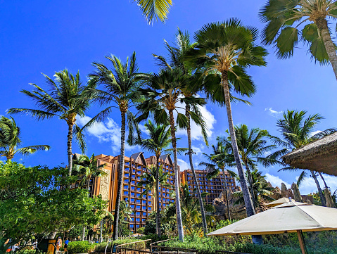 Oahu - August 8, 2023: Disney Aulani tropical hotel surrounded by palm trees.