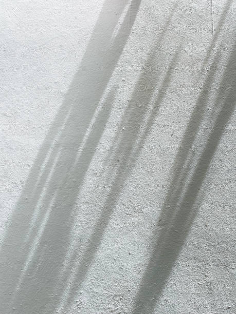 istock Leaves shadow background on concrete wall texture, leaves tree branches shade with sunlight 1714046111