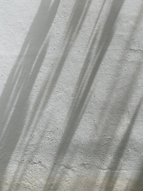 istock Leaves shadow background on concrete wall texture, leaves tree branches shade with sunlight 1714046125