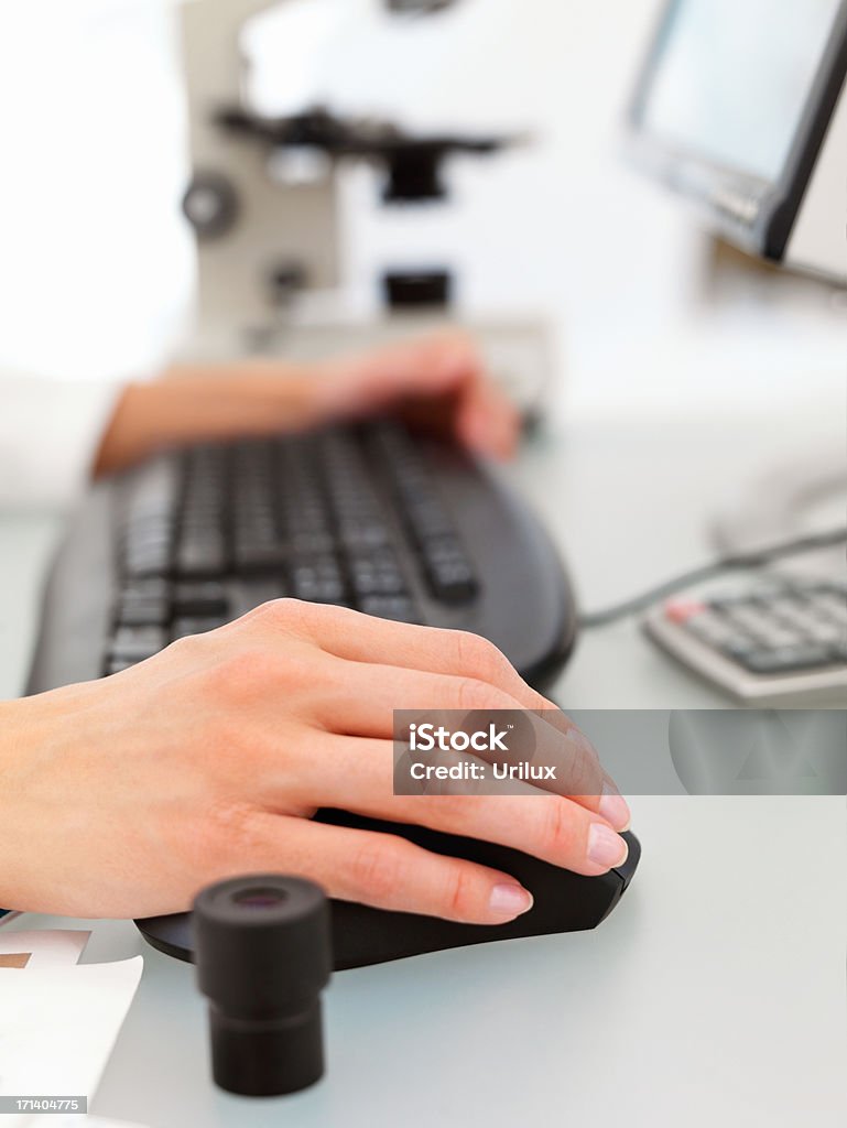 Female hands typing on a computer keyboard  Adult Stock Photo