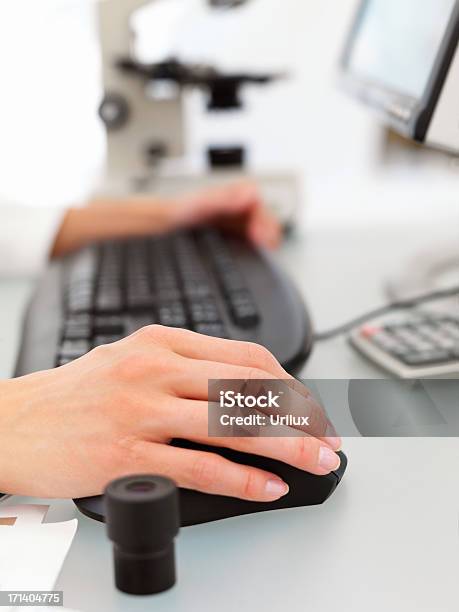 Female Hands Typing On A Computer Keyboard Stock Photo - Download Image Now - Adult, Close-up, Color Image