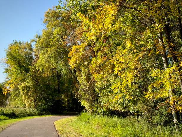 istock Golden autumn colors 1714062998