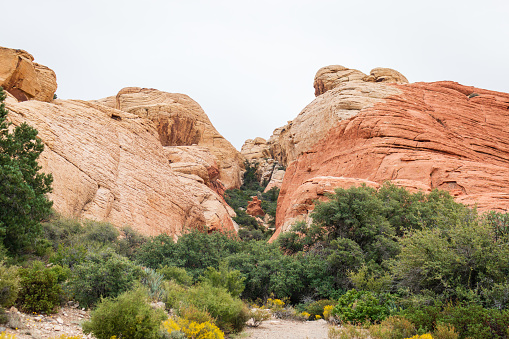 red rock landscape