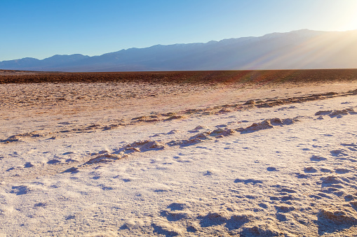 Light sands, dark rocks, and dry creosote bushes dot the landscape south of Owens Lake, in the Northern Mojave desert.