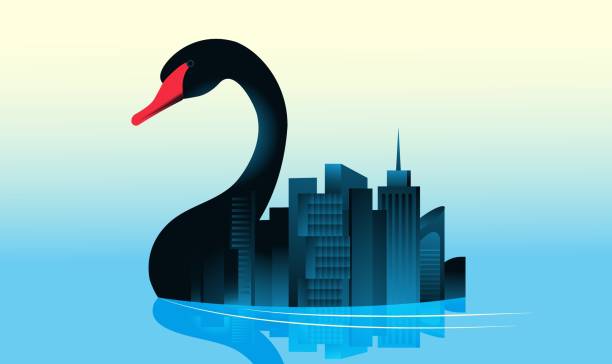 500+ Black Swan Event Stock Photos, Pictures & Royalty-Free Images