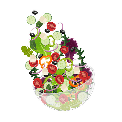 Healthy Food Tossed salad Illustration