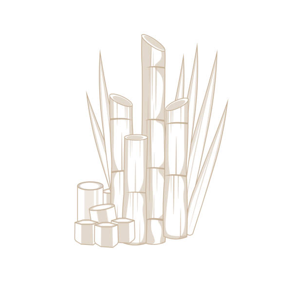 Sugarcane Line art Sugarcane Line art Cartoon Illustration sugar cane juice stock illustrations