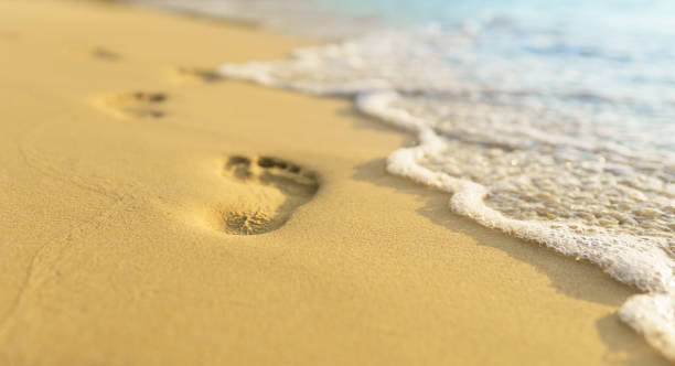 Footprint on the beach