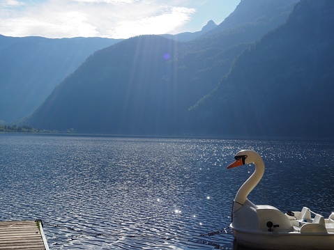 Hallstatt Lake with Iconic Swan boat