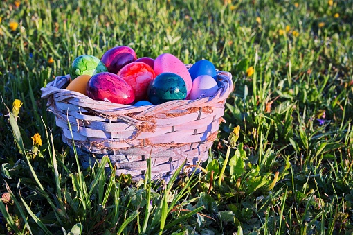Easter eggs in wicker basket on green meadow