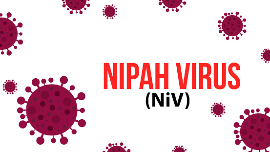 Nipah virus concept. Nipah virus outbreak.  illness. pandemic. Microscope virus close up Design for poster banner social media post