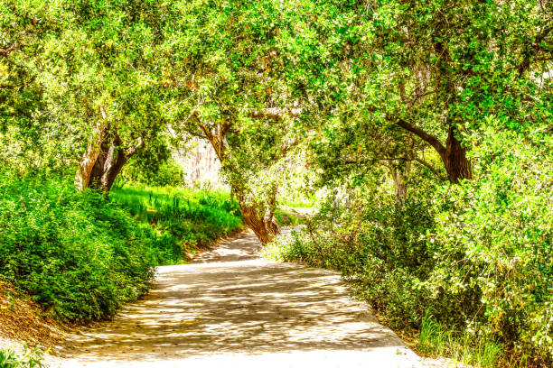 A bright sunny day and lush foliage makes for a pleasant view along the way.