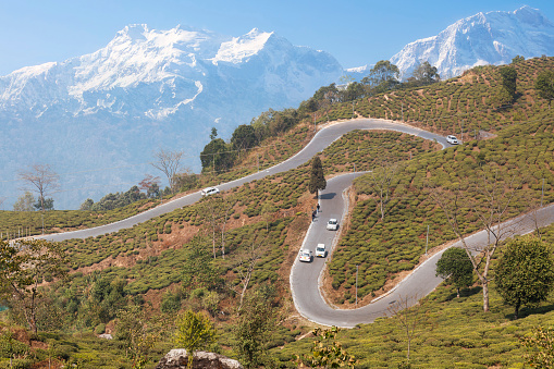 A winding mountain highway road with tea plantations on both sides and view of the Kanchenjunga Himalaya range at Gumbadara Viewpoint near Tinchuley in the district of Darjeeling, India