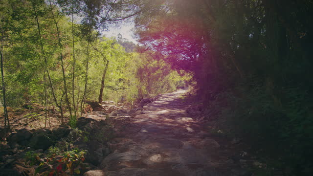 hiking trail in alcafache viseu slow motion gimbal shot