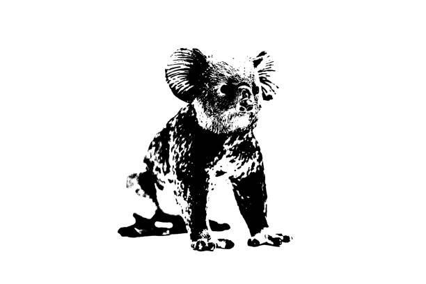 silhouette of koala model stand isolated on white background