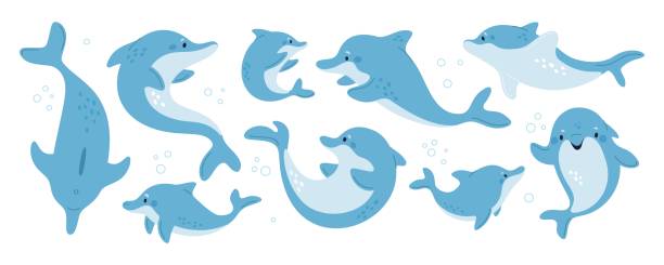 мультяшные милые персонажи-дельфины. забавные морские дикие животные. дружелюбные умные подводные млекопитающие в разных позах и действия - happy dolphin stock illustrations