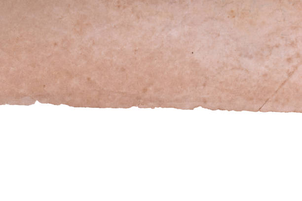 istock old vintage brown paper on white background, page for texture design 1714366595
