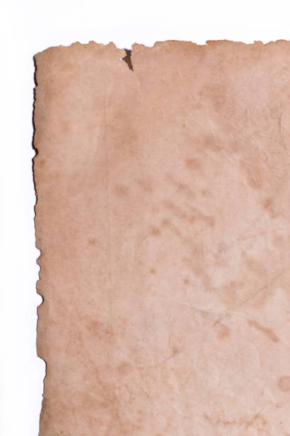 istock old vintage brown paper on white background, page for texture design 1714367110