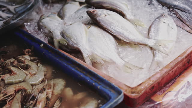 Fish and shrimp being sold at a wet market