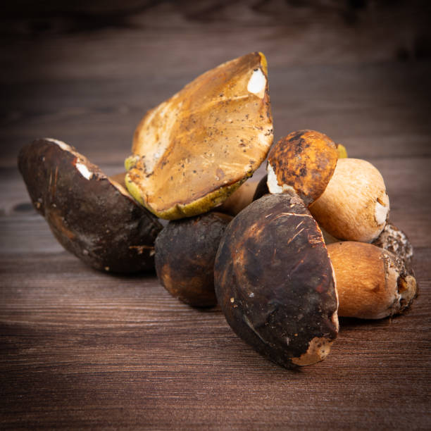 istock Fresh boletus mushrooms on wooden table 1714412579