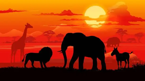 Vector illustration of African sunset landscape with animals silhouettes