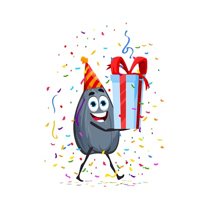 Cartoon sunflower seed character wearing a festive hat and holding a gift at a lively holiday and birthday party. Isolated vector cheerful healthy snack personage celebrating its anniversary with fun