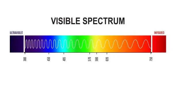 Vector illustration of Wavelength, visible light spectrum wave graph